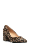Nydj Solimar Block Heel Pointed Toe Pump In Leopard