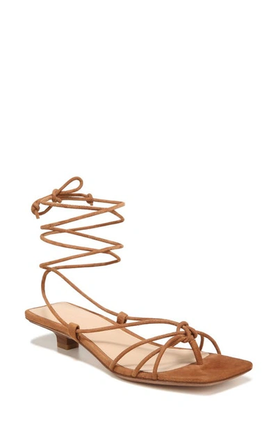 Veronica Beard Foley Suede Ankle-wrap Thong Sandals In Hazelwood