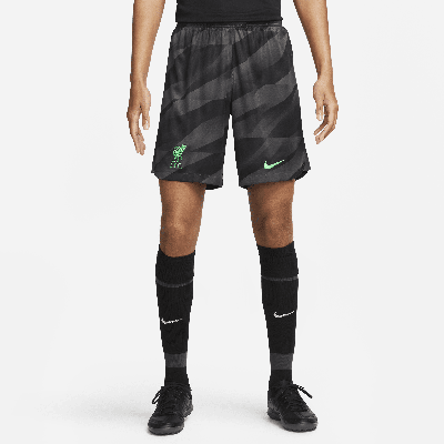 Nike Liverpool Fc 2023/24 Stadium Goalkeeper  Men's Dri-fit Soccer Shorts In Grey