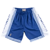 Mitchell & Ness X Nba La Lakers 96-97 Alternate Swingman Shorts In Royal/white