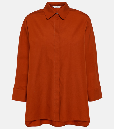 S Max Mara Delfino Shirt In Pink