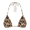 Dolce & Gabbana Leopard Print Two-piece Swimsuit In Leo_new