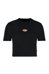 DICKIES MAPLE VALLEY LOGO DETAIL CROPPED T-SHIRT