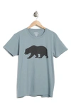 American Needle Cali Bear Cotton Graphic T-shirt In Smoked Blue