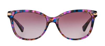 Coach 0hc8132 52888h Cat Eye Sunglasses In Violet