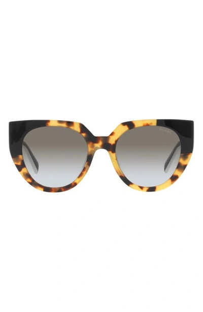 Prada Oversized Acetate Cat-eye Sunglasses In Brown