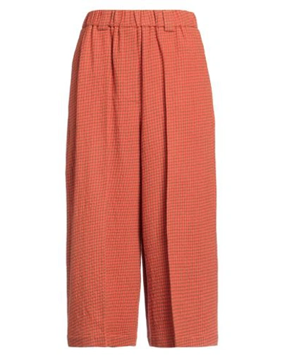 Alysi Woman Pants Orange Size 6 Virgin Wool