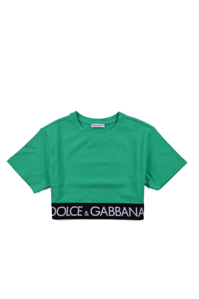 Dolce & Gabbana Kids' Logo-band Cropped T-shirt In Green