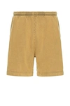Acne Studios Cotton Shorts In Sage Green