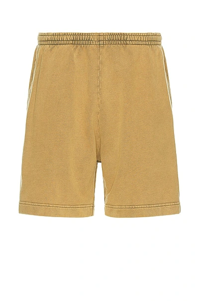 Acne Studios Cotton Shorts In Sage Green
