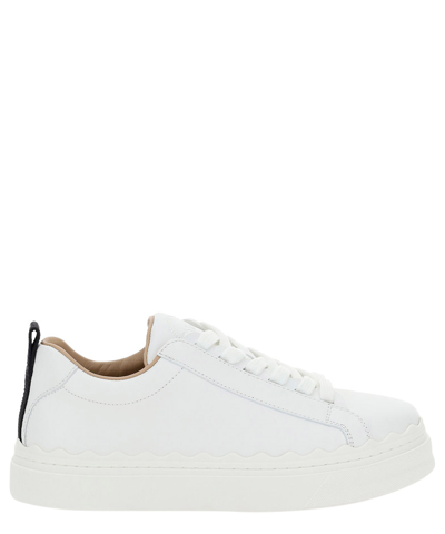 Chloé Lauren Sneaker In White