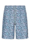 Rails Kian Drawstring 8.25 Printed Swim Trunks In Blue Miami Cove