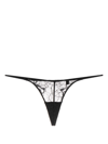 Zhilyova Tara Floral-lace Thong In Black