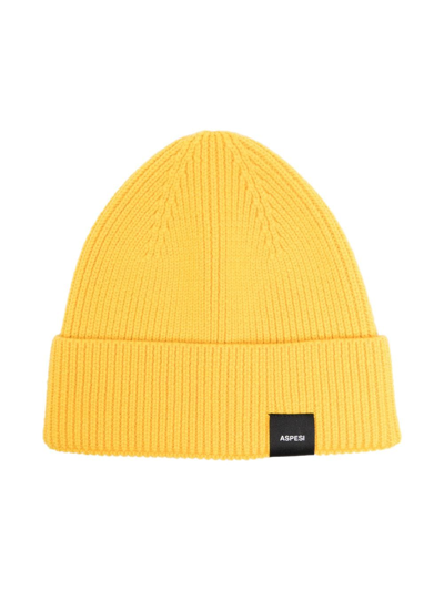 Aspesi Kids' Ribbed-knit Wool Beanie In Yellow