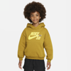 Nike Sb Icon Fleece Hoodie Little Kids' Hoodie In Yellow