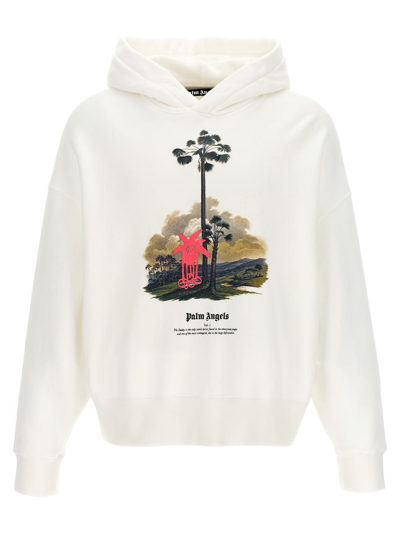PALM ANGELS PALM ANGELS DOUBY LOST IN AMAZONIA HOODIE
