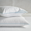 Frontgate Set Of 2 Pillow Protectors