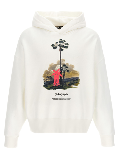 PALM ANGELS DOUBY LOST IN AMAZONIA HOODIE