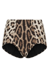 Dolce & Gabbana Leopard-print High-waisted Bikini Bottom In Brown