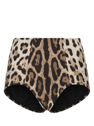 Dolce & Gabbana Leopard-print High-waisted Bikini Bottom In Brown