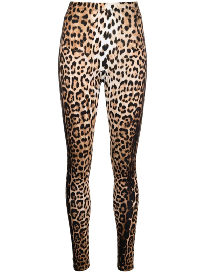 Roberto Cavalli Leopard-print High-waisted Leggings In Brown