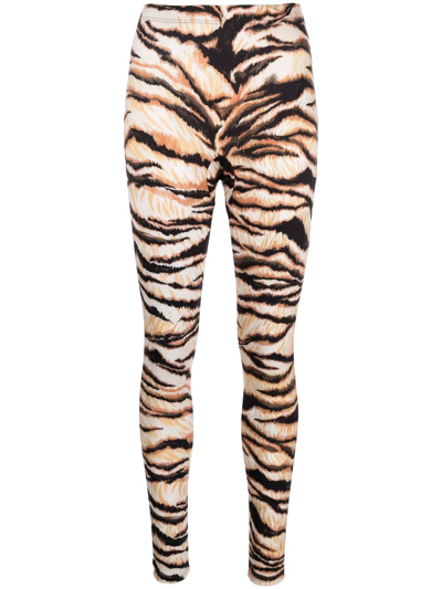 Roberto Cavalli Tiger-print High-waisted Leggings In Neutrals