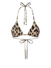 Dolce & Gabbana Triangle Bikini Top With Iconic Leopard Print In Neutrals