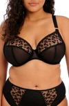 Elomi Namrah Underwire Plunge Bra In Jet