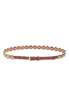 Golden Goose Stud Belt In Nougat