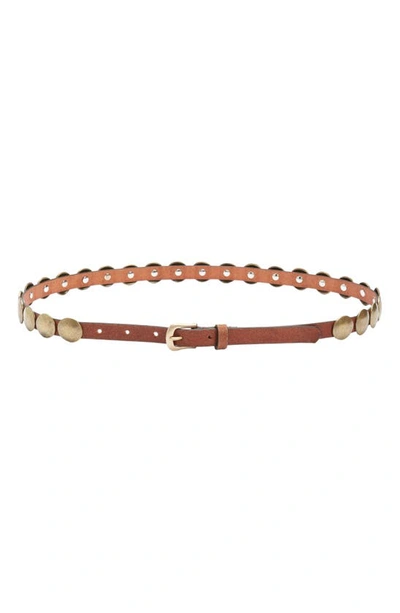 Golden Goose Stud Belt In Nougat