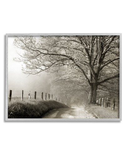 Stupell Rural Scenery Fenced Path Framed Giclee Wall Art By Danita Delimont