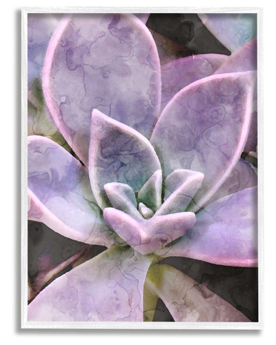 Stupell Purple Succulent Close Up Framed Giclee Wall Art By Daphne Polselli