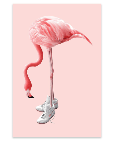 Icanvas Sneaker Flamingo Print On Acrylic Glass By Jonas Loose