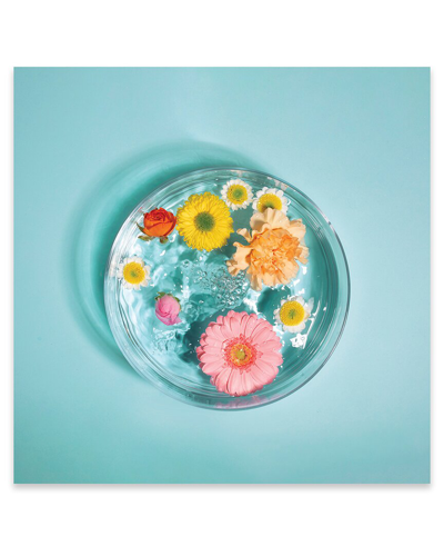 Icanvas Spring Water Print On Acrylic Glass By Pepino De Mar