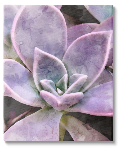 Stupell Purple Succulent Close Up Canvas Wall Art By Daphne Polselli