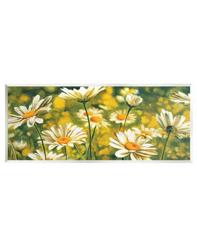 Stupell Wild Daisies Blooming Nature Garden Wall Plaque Wall Art By Pierre Viollet In Green