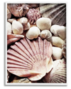 Stupell Stacked Coastal Seashells Framed Giclee Wall Art By Ashley Aldridge