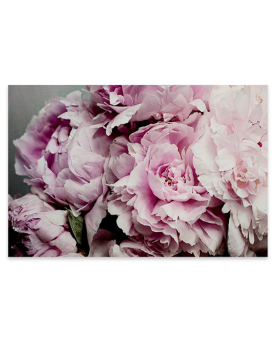 Icanvas Peonies Galore Ii Print On Acrylic Glass By Elizabeth Urquhart