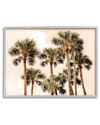 Stupell Summer Palm Trees Sky Framed Giclee Wall Art By Natalie Carpentieri