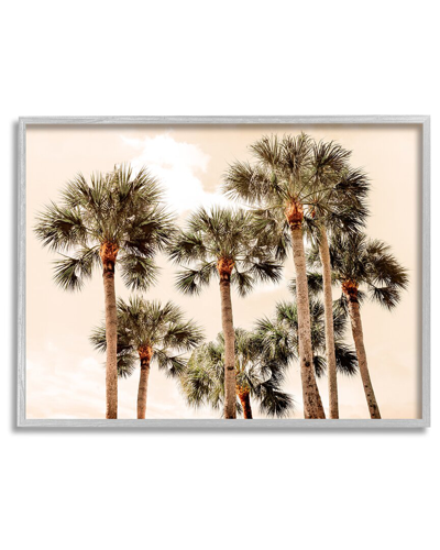 STUPELL SUMMER PALM TREES SKY FRAMED GICLEE WALL ART BY NATALIE CARPENTIERI