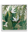Stupell Tropical Birds Of Paradise Plant Framed Giclee Wall Art By Nan
