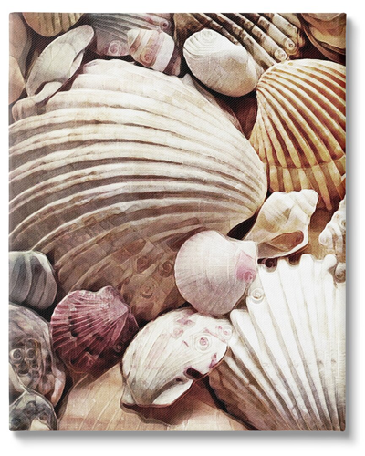 Stupell Various Nautical Clam Conch Shells Canvas Wall Art By Ashley Aldridge
