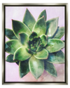 STUPELL ROUND SUCCULENT PLANT LEAVES FRAMED FLOATER CANVAS WALL ART BY DAPHNE POLSELLI