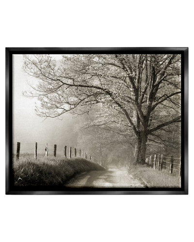 Stupell Rural Scenery Fenced Path Framed Floater Canvas Wall Art By Danita Delimont