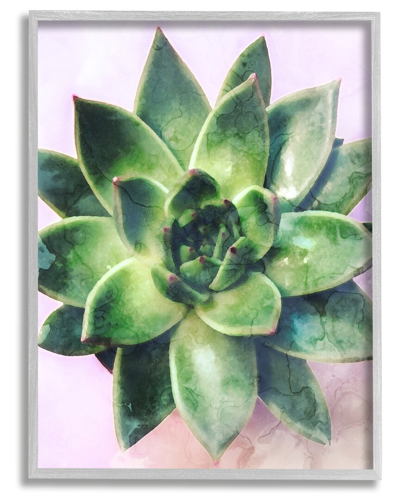 Stupell Round Succulent Plant Leaves Framed Giclee Wall Art By Daphne Polselli