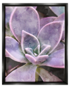 Stupell Purple Succulent Close Up Framed Floater Canvas Wall Art By Daphne Polselli
