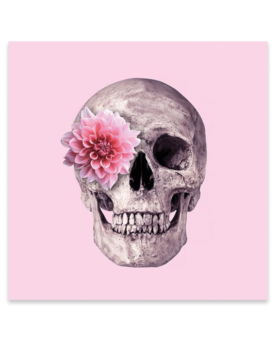Icanvas Pink Skull Print On Acrylic Glass By Paul Fuentes