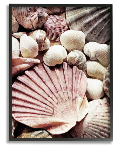 Stupell Stacked Coastal Seashells Framed Giclee Wall Art By Ashley Aldridge