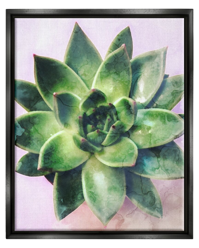 Stupell Round Succulent Plant Leaves Framed Floater Canvas Wall Art By Daphne Polselli