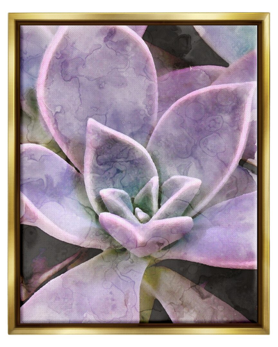 Stupell Purple Succulent Close Up Framed Floater Canvas Wall Art By Daphne Polselli